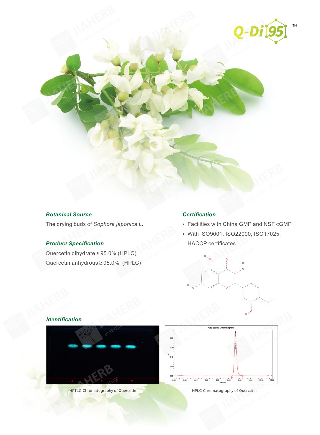 2 槲皮素-英文1.jpg